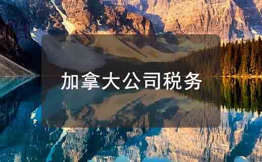 加拿大公司的稅務(wù)分類